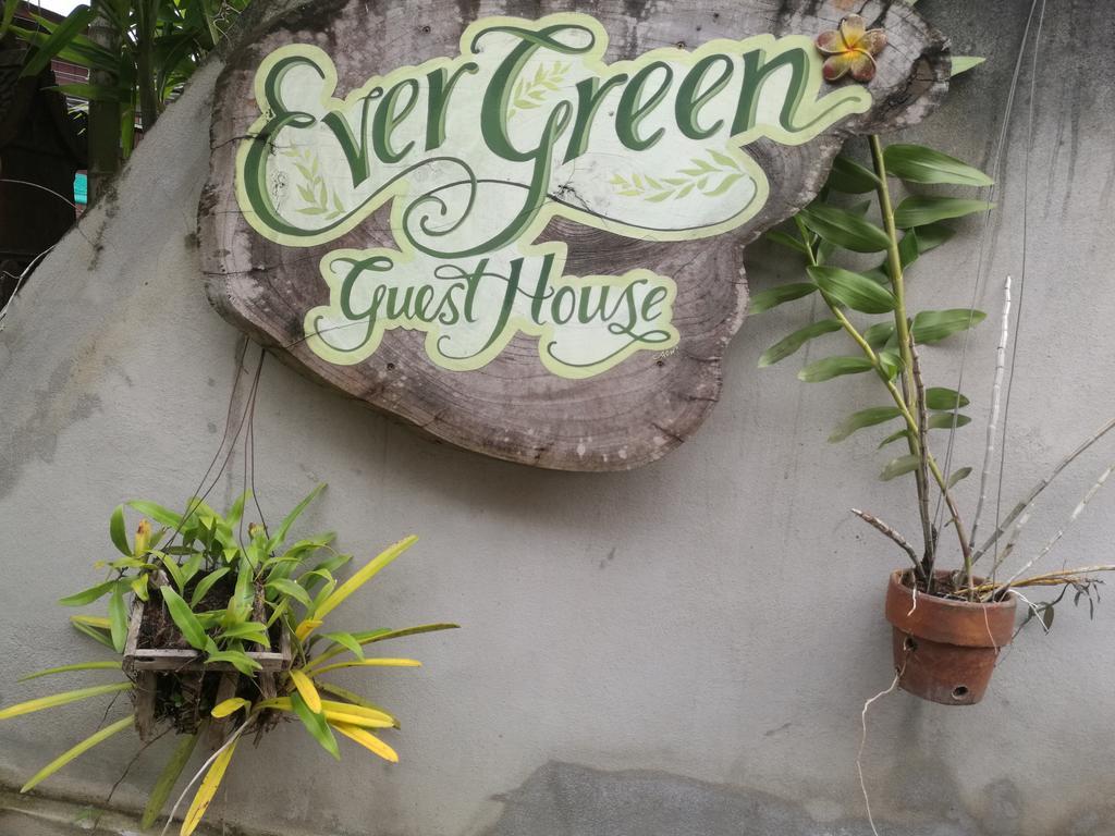 Ever Green Guest House - Sha Plus Пай Экстерьер фото